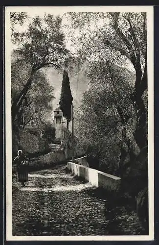 AK Saorge, Chemin pittoresque bordé d`arbres et de murs en pierre
