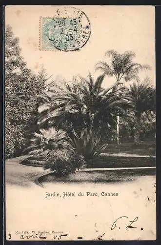 AK Cannes, Jardin de l`Hôtel du Parc avec palmiers luxuriants