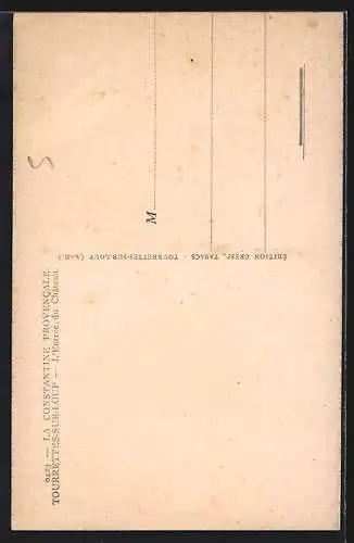 AK Tourrettes-sur-Loup, L`entrée du Château