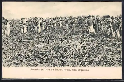 AK Chaco, Cosecha de Cana de Azucar, Indios