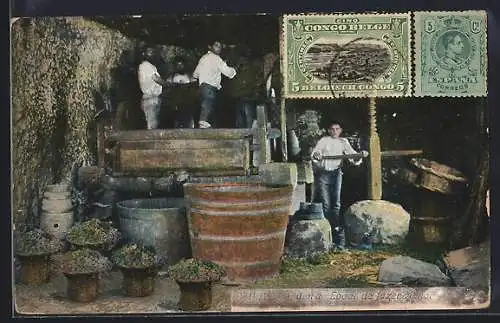 AK Madeira, Lagar de fazer vinho