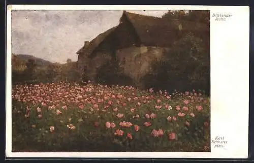 Künstler-AK Karl Maria Schuster: Blühender Mohn