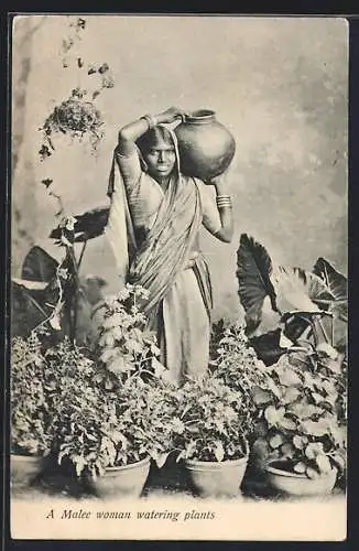 AK Malee woman watering plants