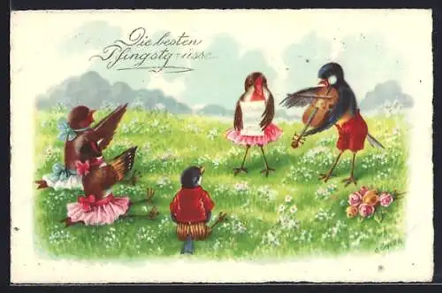 Künstler-AK C. Öhler: Vögel beim Geigenkonzert
