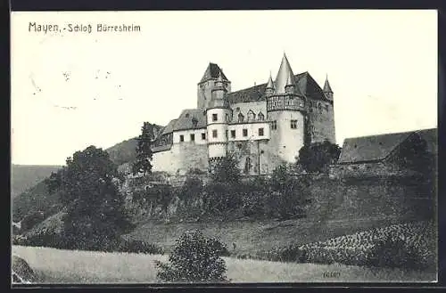 AK Mayen, Schloss Bürresheim
