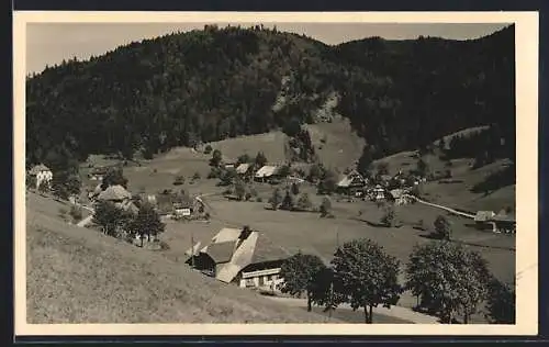 AK Todtmoos, Ortsansicht aus der Vogelschau