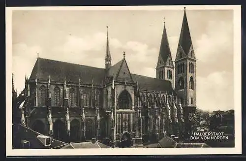 AK Halberstadt, Dom von Norden