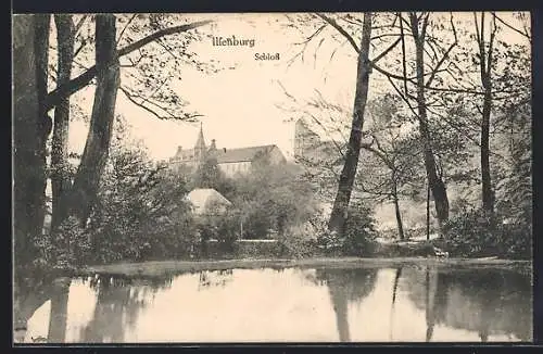 AK Ilsenburg, Blick auf das Schloss