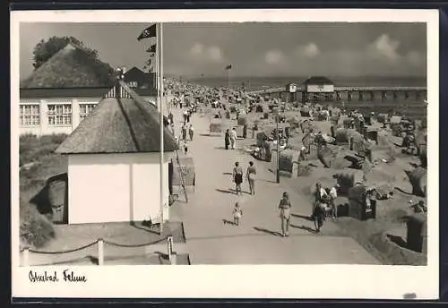AK Dahme /Ostsee, Partie am Strand mit Strandkörben und Seebrücke, 