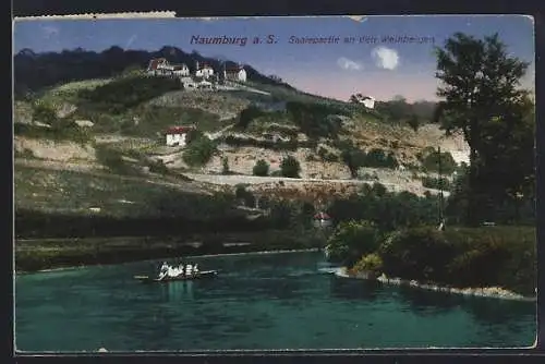 AK Naumburg a. S., Saalepartie an den Weinbergen