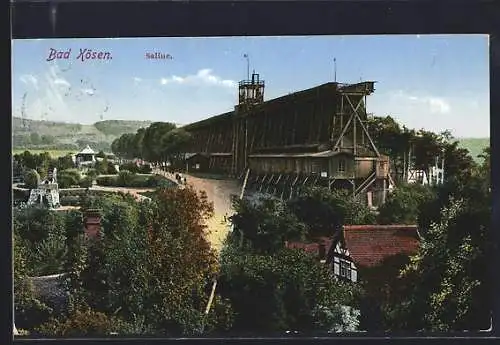 AK Bad Kösen, Saline