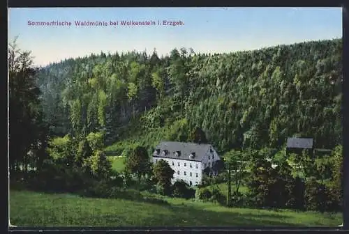 AK Wolkenstein i. Erzgeb., Hotel Waldmühle, Bes. Max Martin