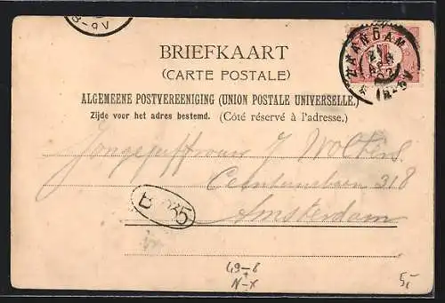 AK Zaandam, Vis a vis Zaandijk