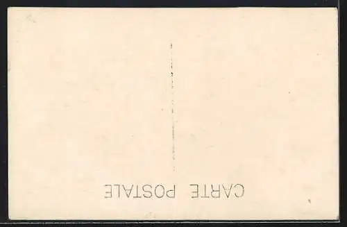 AK Granada, Tipos gitanos