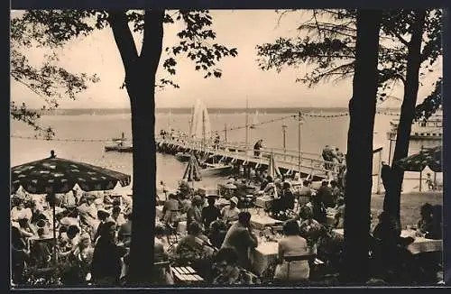 AK Berlin-Köpenick, Seeterrasse der HO-Gaststätte Müggelseeperle