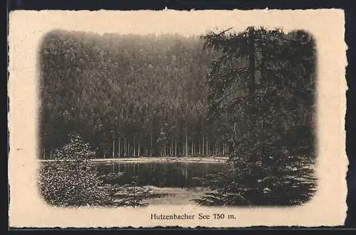 AK Baiersbronn, Hutzenbacher, Blick auf den Hutzenbacher See im Wald