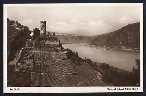 AK Fürstenberg / Oberweser, Flusspartie mit Weingut und Schloss