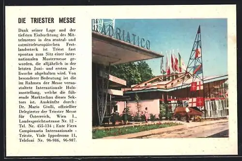 AK Triest, Triester Messe, Festhalle und angrenzendes Gebäude