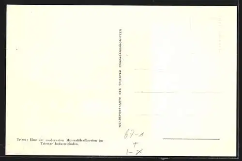 AK Triest, Triester Messe, Festhalle und angrenzendes Gebäude