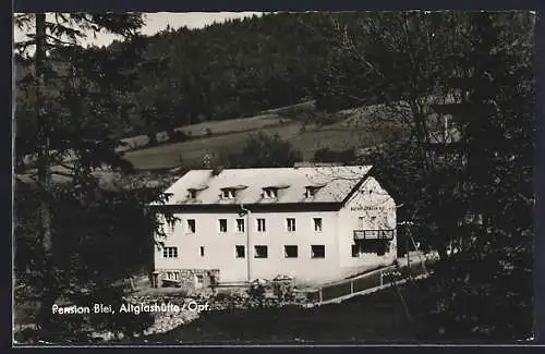 Foto-AK Altglashütte / Opf., Gasthof und Pension Blei