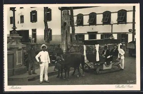 AK Madeira, Bull-Car, Ochsenschlitten
