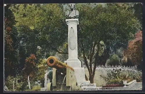 AK Gibraltar, Wellingtons Monument, Kanone