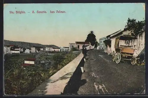 AK Las Palmas, Gran Canaria, Sta. Brigida, Teilansicht