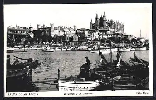 AK Palma de Mallorca, La Lonja y Catedral