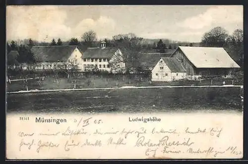 AK Münsingen, Ludwigshöhe mit Weg