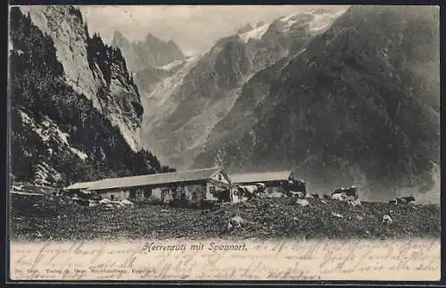 AK Engelberg / Obwalden, Herrenrüti, Teilansicht mit Spannort
