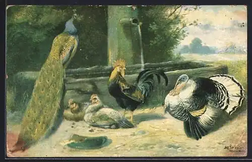 Künstler-AK Alfred Schönian:Pfau, Putter und Hühner am Brunnen