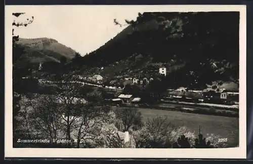 AK Waldegg, Blick auf den Ort