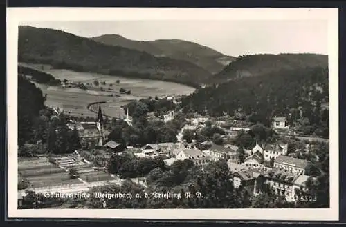 AK Weissenbach a. d. Triesting, Ortsansicht mit Kirche