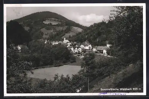 AK Waldbach, Blick zum Ort, Wälder, Berge
