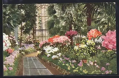 Künstler-AK Wien, Schönbrunn, Palmenhaus, Innenansicht