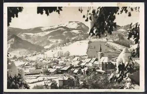AK Türnitz, Panorama im Winter