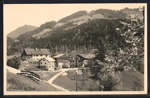 AK Wildbichl in Tirol, Ortsansicht zur Frühlingsblüte