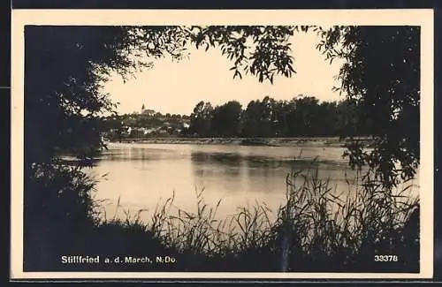 AK Stillfried a. d. March, Flusspartie vom Schilf aus