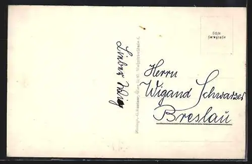 AK Pressbaum, Ortsansicht mit Waldpanorama