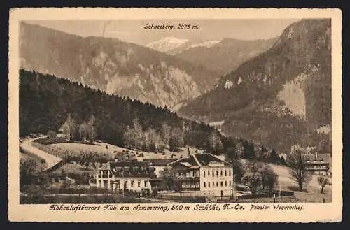 AK Küb am Semmering, Pension Wegererhof mit Schneeberg