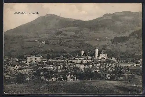 AK Aspang, Totalansicht mit Bergpanorama