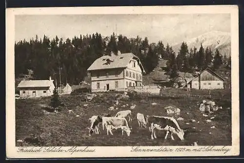 AK Schottwien, Sonnwendstein, Friedrich-Schüler-Alpenhaus mit Schneeberg