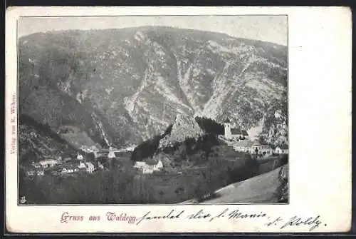 AK Waldegg, Totalansicht aus der Vogelschau