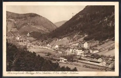 AK Waldegg, Gesamtansicht mit Hotel Kuchner
