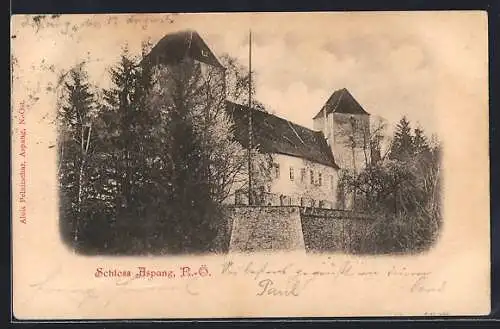 AK Aspang /N.-Ö., Schlossansicht mit Mauer