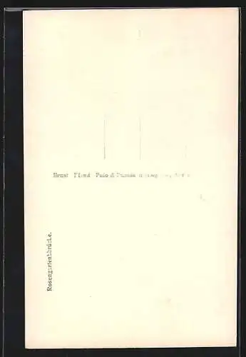 AK Tux, Die Rosengartenbrücke