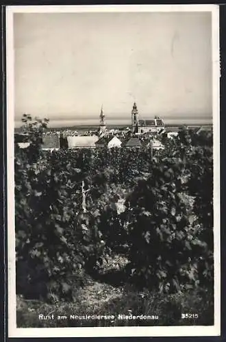 AK Rust am Neusiedlersee, Ortsansicht von einem Weinberg aus