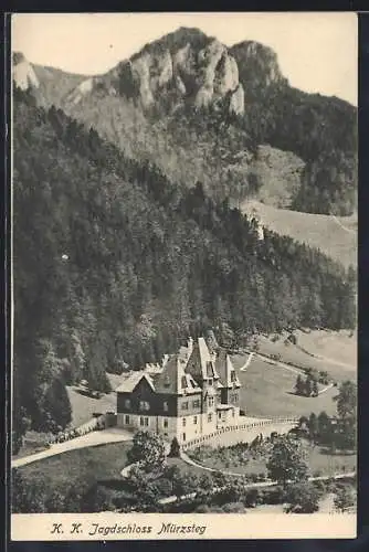 AK Mürzsteg, Jagdschloss Mürzsteg aus der Vogelschau