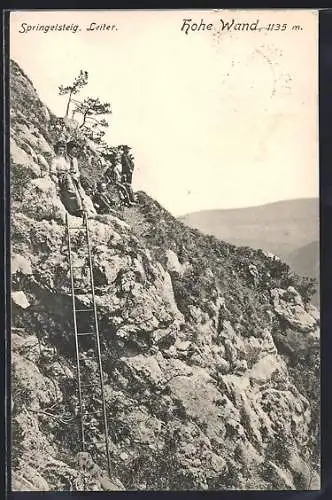 AK Hohe Wand, Springelsteig, Leiter mit Bergsteigern