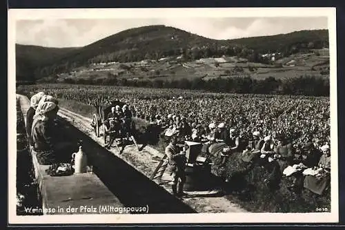 AK Weinlese in der Pfalz, Mittagspause